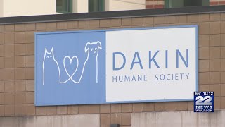 Massachusetts Animal Coalition awards $20K grant to Dakin Humane Society