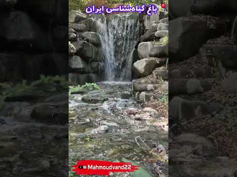 من نگام دیگه دنبال تو نیست هایده باغ گیاه شناسی ایران
