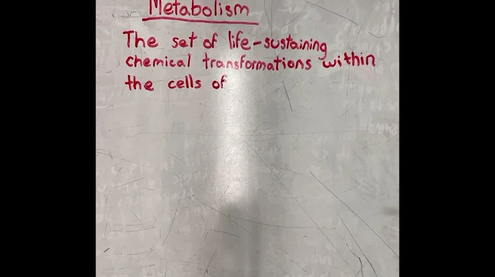 Metabolic Pathways Stop-Motion (enzyme saberase)