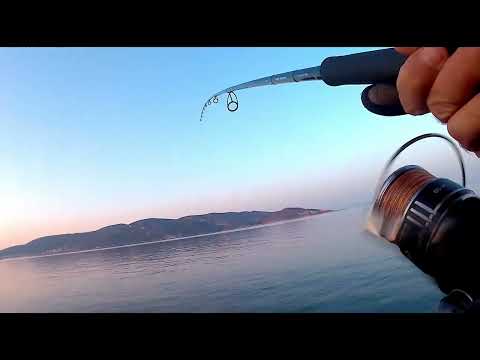 Shore Jigging -