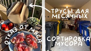 трусы для месячных/ отказ от мяса/ сортировка мусора. экопривычки про комфорт или страдание?