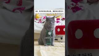 5只猫更喜欢谁测试，爸爸妈妈必须要选一个！ #宠物生活 #貓咪日常