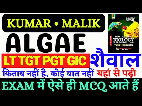 ALGAE | KUMAR AND MALIK | MOST IMPORTANT QUES- 2 UP TGT PGT LT GIC BIOLOGY #algae #pgt  #tgtbiology