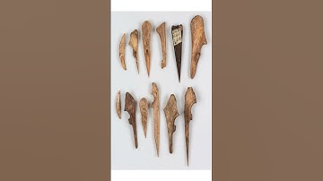 Bone Tools in Africa: A Short Introduction