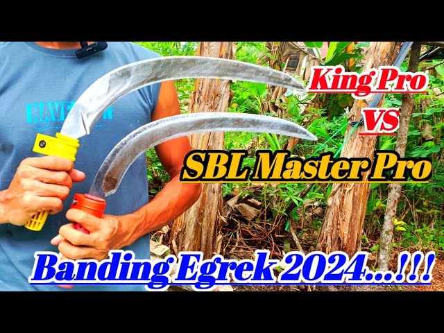 Review, Banding Egrek King Pro vs SBL Master Pro class=