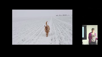 PopPalaeo Workshop II, Talk 4: Liz Hide, ‘Fossils in a landscape of “Arts & Culture.”’