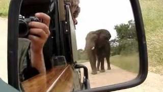 Kruger National Park Safaris in Open Vehicle