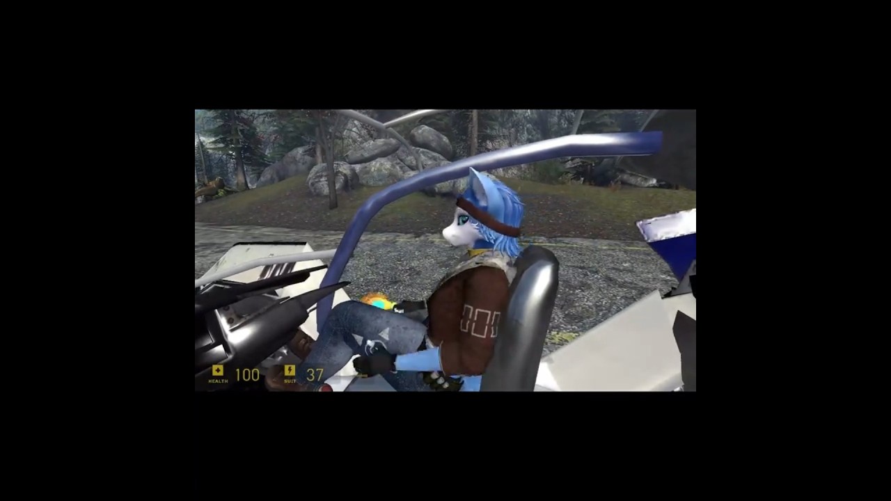 HL2 Alyx mods be like