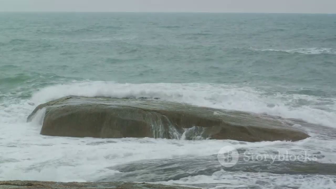 Raining Fish in Iran  A Meteorological Marvel