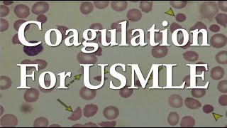 Hemostasis for USMLE Step 1 | Platelet Plug, Coagulation Cascade, and Bleeding Disorders