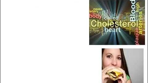 E   Media 1 Hyperlipidemia