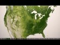 Plant Life Distribution on Our Planet Earth | NOAA Space Science Full HD Video