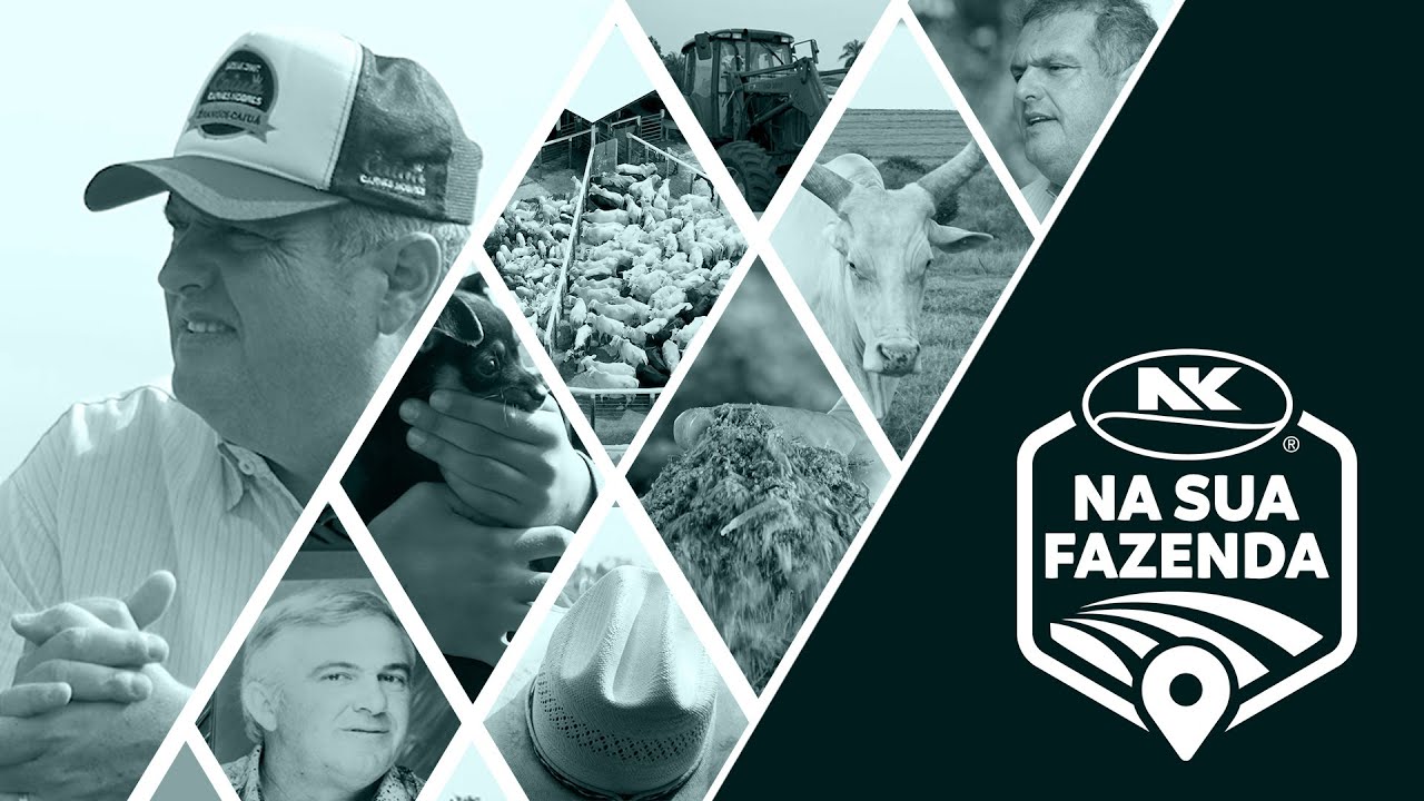 NK na Sua Fazenda | Elton Zafanelli | Uma história que alimenta gerações