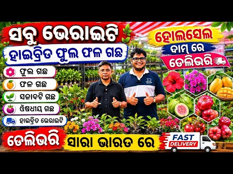 Free Delivery Nursery Tree hybrid Collection all types plants Flowers Fruit Seed vegetable Odisha Bs
