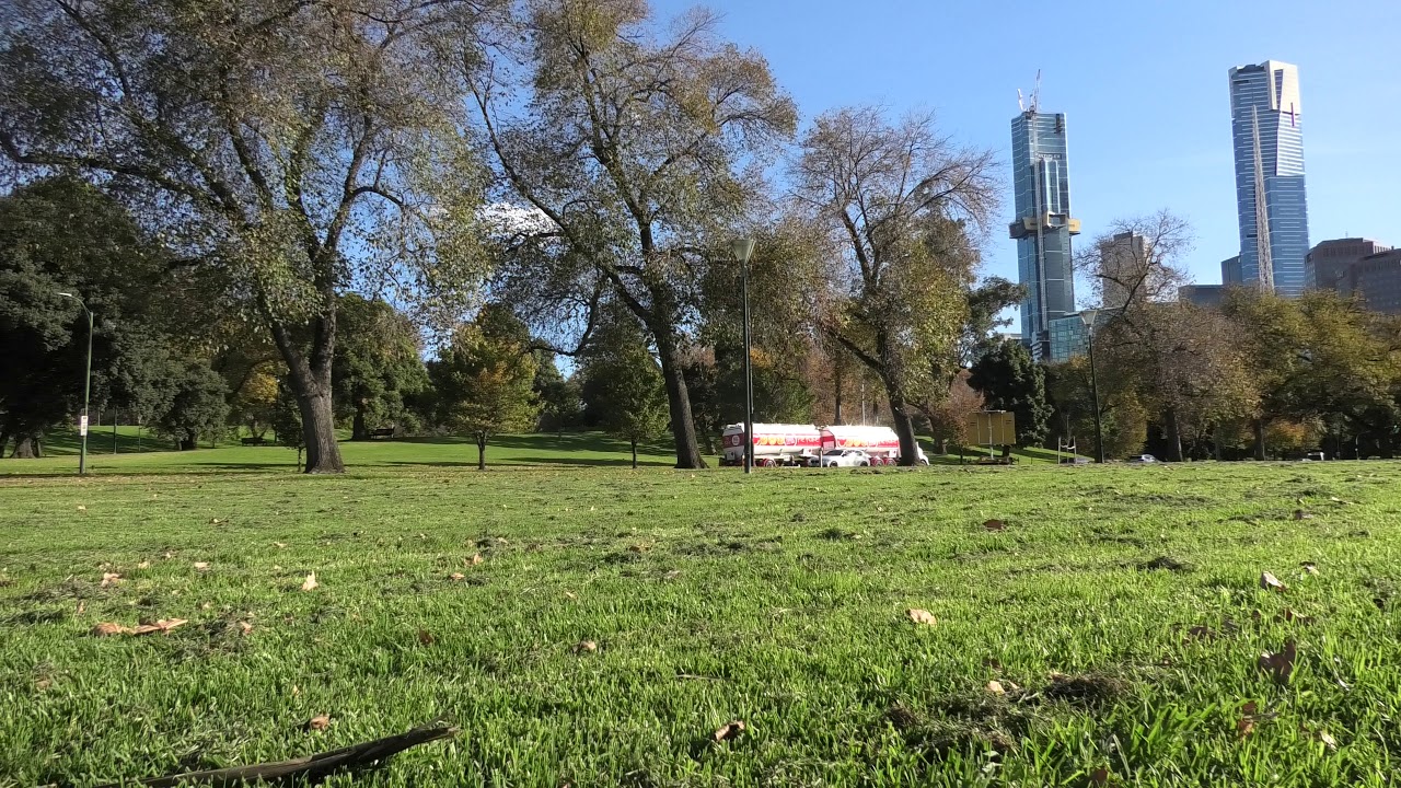 Pie Face Truck YouTube