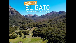 CAMPO EL GATO Más de 200 hectáreas de Paisaje #ViveTranquilo #Produncan #Paisajes #Chile