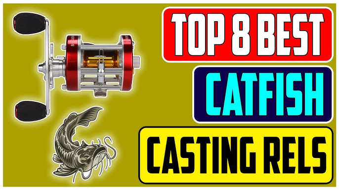 Top 8 Best Catfish Rod and Reel Combos for Catching Monster Fish 