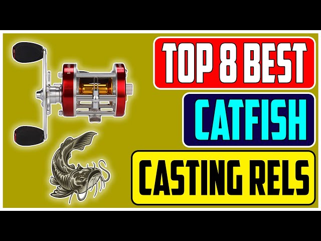 2023's Best Baitcasting Reels for Catfish Our Top Picks 