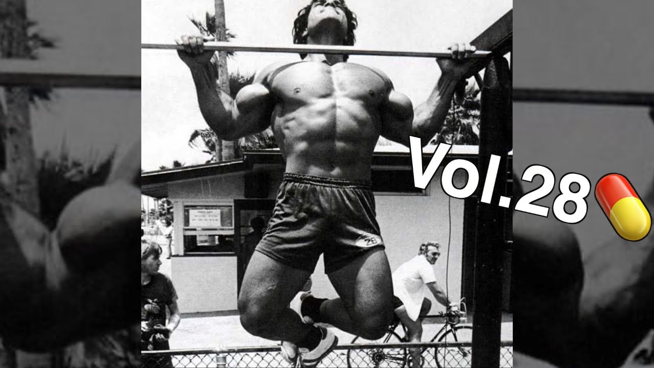 Red-Pill TikTok Compilation Vol. 28