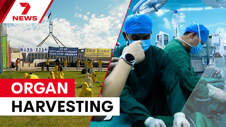 Fighting against the horror of forced organ harvesting | The Issue | 7NEWS