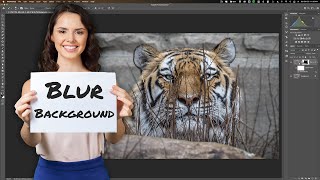 Easy Photoshop Automation to FIX Zoo Pictures screenshot 2
