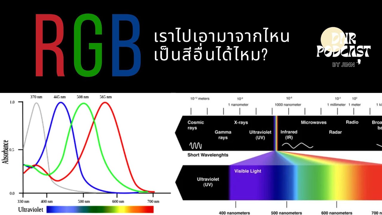 เราเห็นสีได้อย่างไร และ RGB มาจากไหนหวะ #JiNNอยากเล่า