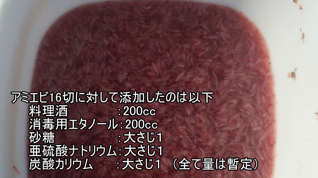 解凍アミエビの冷蔵保存 Youtube