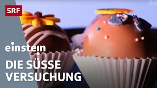 Zucker - wie gefährlich ist er für uns und warum schmeckt er uns so gut | Einstein | SRF