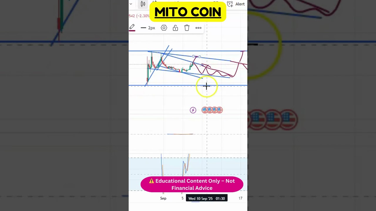 Market Update 🚀 MITO Crypto Trend Analysis!