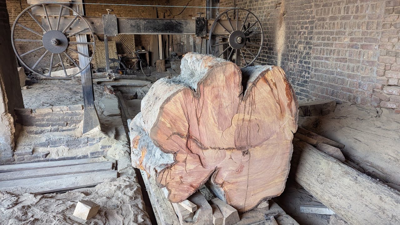 Giant Wood Cutting | Extreme Wood Cutting Sawmill Machines | Giant Tree ...
