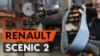 Hvordan udskiftes ribrem / multirem on RENAULT SCENIC 2 (JM) [GUIDE AUTODOC]