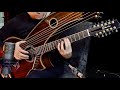 Hallelujah on 26-String Harp Guitar 🎶
