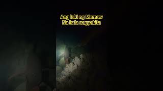 Mamaw na isda #shorts #spearfishing #fishing #viral