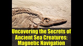 Uncovering the Secrets of Ancient Sea Creatures: Magnetic Navigation