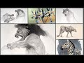 Live Stream: Animal Drawing!