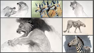 Live Stream: Animal Drawing!