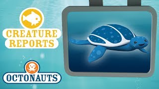 Octonauts - Creature Report | Sea Creatures Beginning with the Letter 'L'