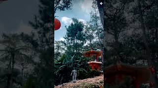 Botanical Garden in Baguio, City Philippines #baguiocity #botanicalgarden  #philippines #shortvideo