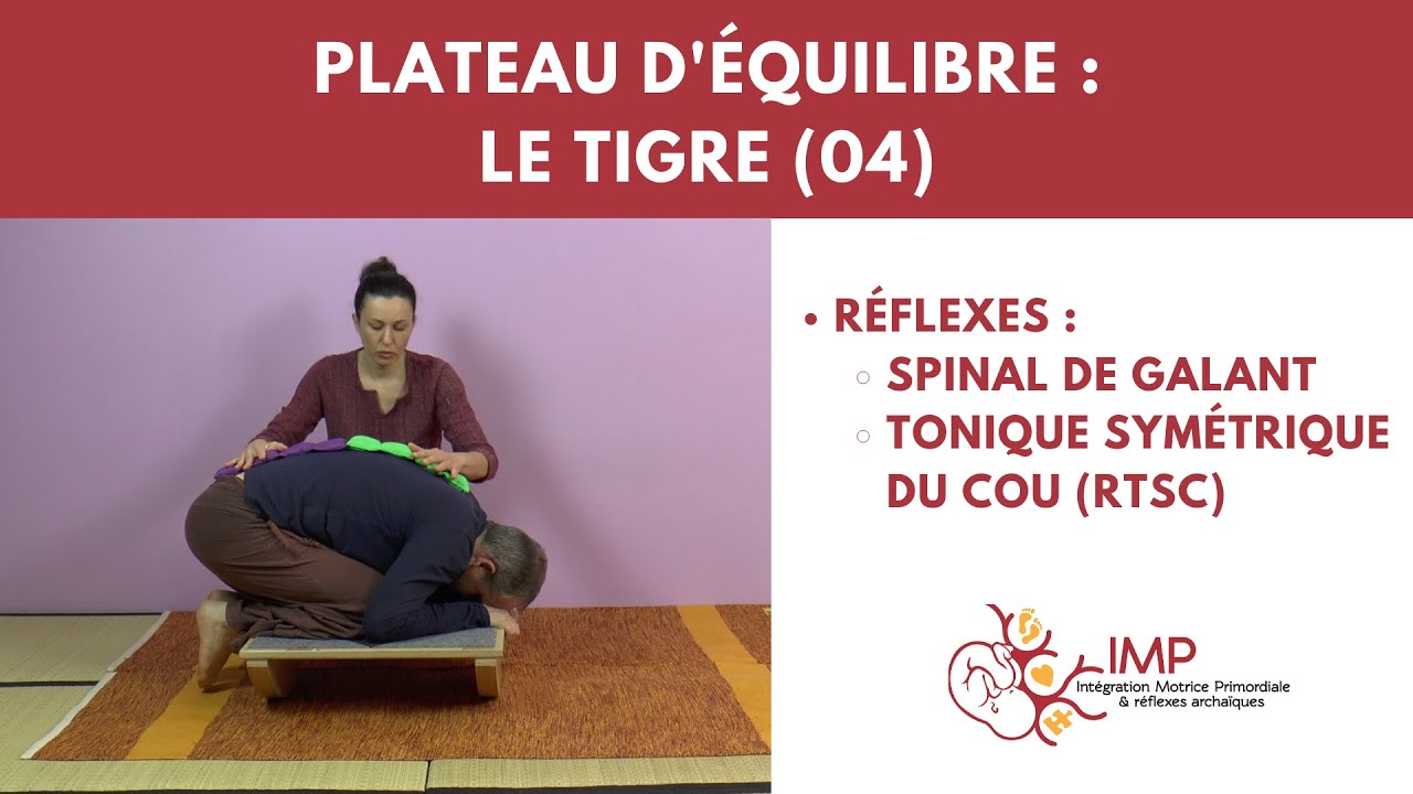 Le tigre sur plateau d'équilibre