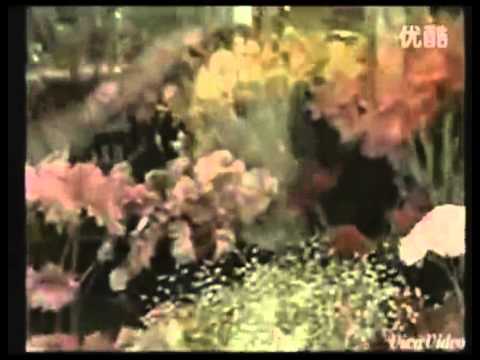 Макпал Жунусова

Жылдар-жылдар Новинка!!!