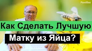 № 114 Как Сделать Качественную Матку из Яйца,Вывод маток на Взяток Пчеловодство | Пасека | № 114 Как Сделать Качественную Матку из Яйца,Вывод маток на Взяток Пчеловодство | Пасека |