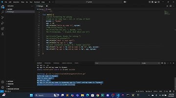 EPISODE 1  me starting my golang JOURNEY!!!   Made with Clipchamp