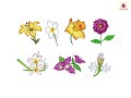 Flowers | Now You Know Book B | Periwinkle