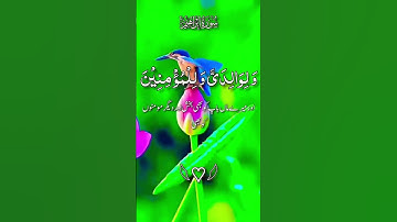 القران الكريم #الرحمن الرحيم #المصحف #duet #دويتو #birds #اكسبلور #لايك