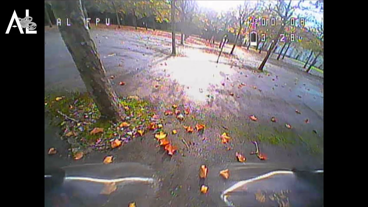 Raw FPV Relaxation // 2 inch ELRS Toothpick