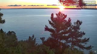 Bald Eagles Harriet & Harry: Sunrise Fly-By & Sweet Reunion! ๐
๐ฆ
| 8-17-26