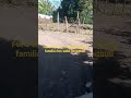 fui dejar a don julio con su familia nos salió un pitbull