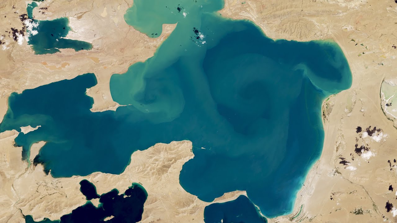 Toxic Algae Blooms Are Increasing Globally in 'Discouraging' Find