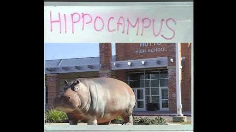 PSY101-CC Chapter2: The Biological Perspective