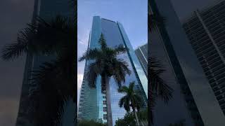 🇺🇲 #Miami Brickell Épico sin filtro (A53) Samsung